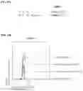Fig. 12 - Antibody variable domains and antibody constructs