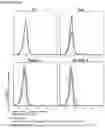 Fig. 14 - Antibody variable domains and antibody constructs