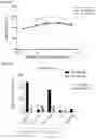 Fig. 17 - Antibody variable domains and antibody constructs
