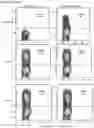 Fig. 19 - Antibody variable domains and antibody constructs