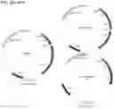 Fig. 31 - Antibody variable domains and antibody constructs
