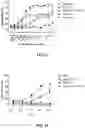 Fig. 09 - BISPECIFIC ANTIBODY
