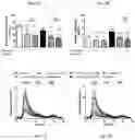 Fig. 02 - Methods for inhibiting atherosclerosis by administering an anti-PCSK9 antibody