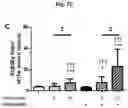 Fig. 10 - Methods for inhibiting atherosclerosis by administering an anti-PCSK9 antibody