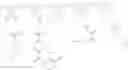 Fig. 08 - Hyperbranched cationic mussel-imitated polymer and method of preparing the same