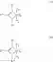 Fig. 05 - Process for the preparation of an olefinic copolymer having polar groups and the products obtained therefrom