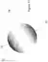Fig. 10 - Polymeric composition exhibiting nanogradient of refractive index
