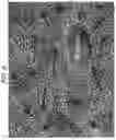Fig. 06 - Aircraft windows