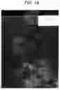Fig. 16 - Aircraft windows