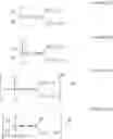 Fig. 24 - ROMP POLYMERS HAVING IMPROVED RESISTANCE TO HYDROCARBON FLUIDS