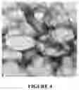 Fig. 05 - Gels derived from poly(ethylidene norbornene)-b-poly(cyclopentene) block copolymer nanocomposites for viscosity modifications and drilling fluid applications