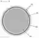 Fig. 04 - Thermoplastic polymer particles having low impurity content