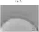 Fig. 08 - Composite particulate material and production process for the same, composite-particulate-material slurry, and resinous composition