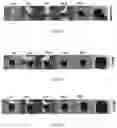 Fig. 07 - ACOUSTIC GRAPHENE-CONTAINING COMPOSITIONS/MATERIALS AND METHODS OF FORMATION