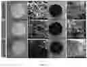Fig. 14 - ACOUSTIC GRAPHENE-CONTAINING COMPOSITIONS/MATERIALS AND METHODS OF FORMATION