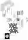 Fig. 06 - Three-dimensional porous polyurea networks and methods of manufacture