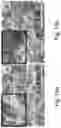 Fig. 20 - Three-dimensional porous polyurea networks and methods of manufacture