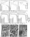 Fig. 23 - Three-dimensional porous polyurea networks and methods of manufacture