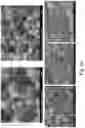 Fig. 26 - Three-dimensional porous polyurea networks and methods of manufacture