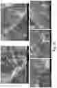 Fig. 27 - Three-dimensional porous polyurea networks and methods of manufacture