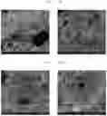 Fig. 15 - Scalable manufacturing method of property-tailorable polyurea foam