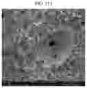 Fig. 16 - Scalable manufacturing method of property-tailorable polyurea foam