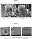 Fig. 19 - Scalable manufacturing method of property-tailorable polyurea foam