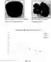 Fig. 03 - Dissolvable Rubber