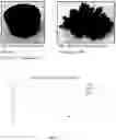 Fig. 05 - Dissolvable Rubber