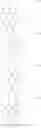 Fig. 48 - 2-phenylphenoxy-substituted perylene bisimide compounds and their use