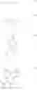 Fig. 92 - 2-phenylphenoxy-substituted perylene bisimide compounds and their use