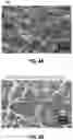 Fig. 06 - Extrudable poly(propylene) compositions