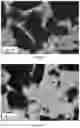 Fig. 03 - SINTERED POLYCRYSTALLINE CUBIC BORON NITRIDE MATERIAL