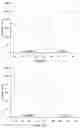 Fig. 08 - SINTERED POLYCRYSTALLINE CUBIC BORON NITRIDE MATERIAL