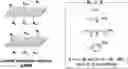 Fig. 01 - Synthetic functionalized additives, methods of synthesizing, and methods of use