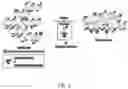 Fig. 04 - Synthetic functionalized additives, methods of synthesizing, and methods of use