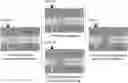 Fig. 01 - Re-crosslinking particle gel for COconformance control and COleakage blocking