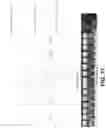 Fig. 18 - Method and apparatus for producing biofuel