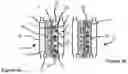 Fig. 04 - Apparatuses for and methods of processing cells and related structures