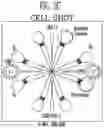 Fig. 12 - METHOD AND APPARATUS FOR CONTROLLING DELIVERY OF MATERIAL INTO CELLS