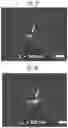Fig. 13 - METHOD AND APPARATUS FOR CONTROLLING DELIVERY OF MATERIAL INTO CELLS