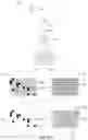 Fig. 05 - Instruments, modules, and methods for improved detection of edited sequences in live cells