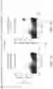 Fig. 02 - METHODS FOR ELIMINATING AT LEAST A SUBSTANTIAL PORTION OF A CLONAL ANTIGEN-SPECIFIC MEMORY T CELL SUBPOPULATION