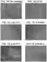 Fig. 02 - Methods for culturing human keratinocytes