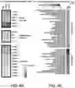 Fig. 11 - Methods for culturing human keratinocytes
