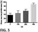 Fig. 06 - COMPOSITION COMPRISING GLYCYRRHIZIN FOR INDUCING DIFFERENTIATION INTO MYELOID-DERIVED SUPPRESSOR CELL FROM MYELOID CELL
