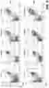 Fig. 07 - COMPOSITION COMPRISING GLYCYRRHIZIN FOR INDUCING DIFFERENTIATION INTO MYELOID-DERIVED SUPPRESSOR CELL FROM MYELOID CELL