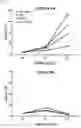 Fig. 05 - Exosome for stimulating T cell and pharmaceutical use thereof