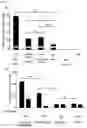Fig. 11 - Exosome for stimulating T cell and pharmaceutical use thereof