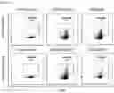 Fig. 14 - Exosome for stimulating T cell and pharmaceutical use thereof